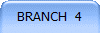 BRANCH  4